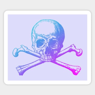 Aesthetic skull and crossbones Magnet